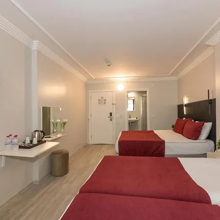 Istanbul Holiday Hotel 3* Istanbul