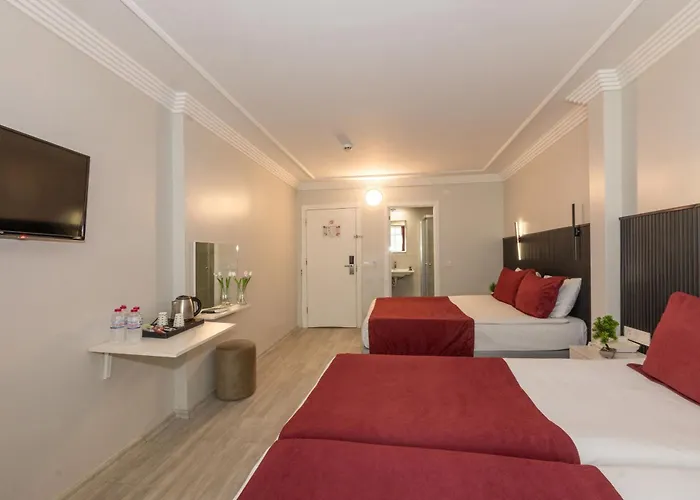 Istanbul Holiday Hotel 3* Стамбул