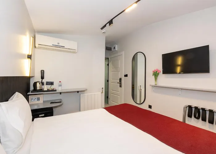 Istanbul Holiday Hotel 3* Стамбул