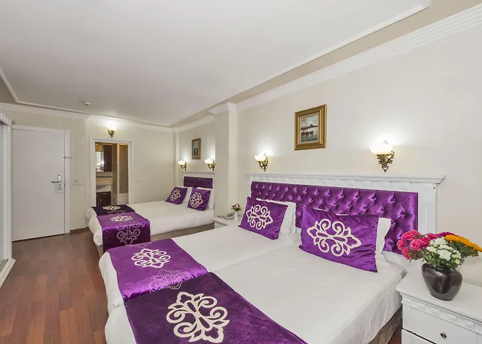 Istanbul Holiday Hotel 3* Стамбул