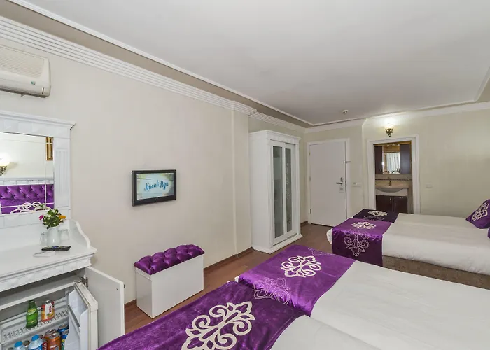 Отель Istanbul Holiday Hotel