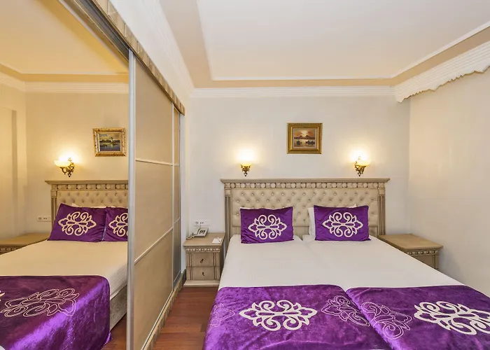 Istanbul Holiday Hotel 3* Стамбул